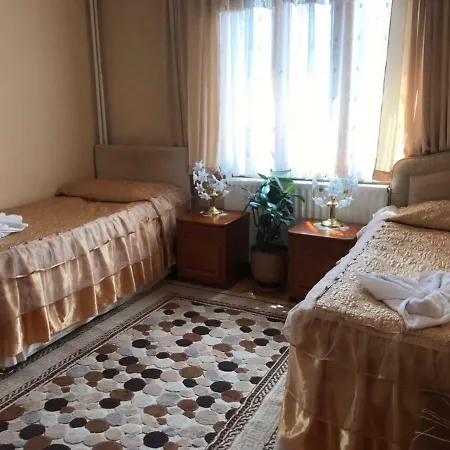 Detelina Guest house 3*