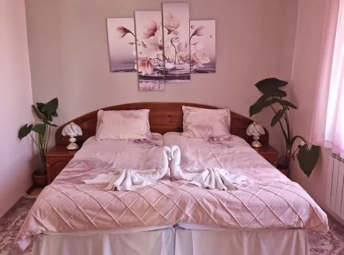 Detelina Guest house 3*