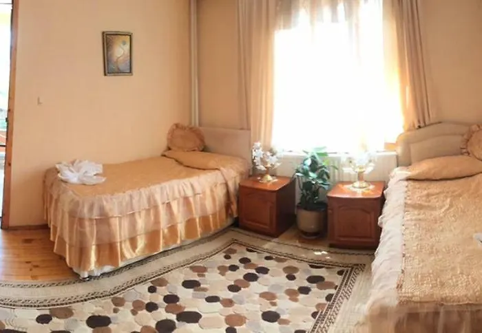 Detelina Guest house 3*