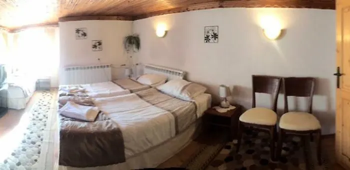 Detelina Guest house 3*